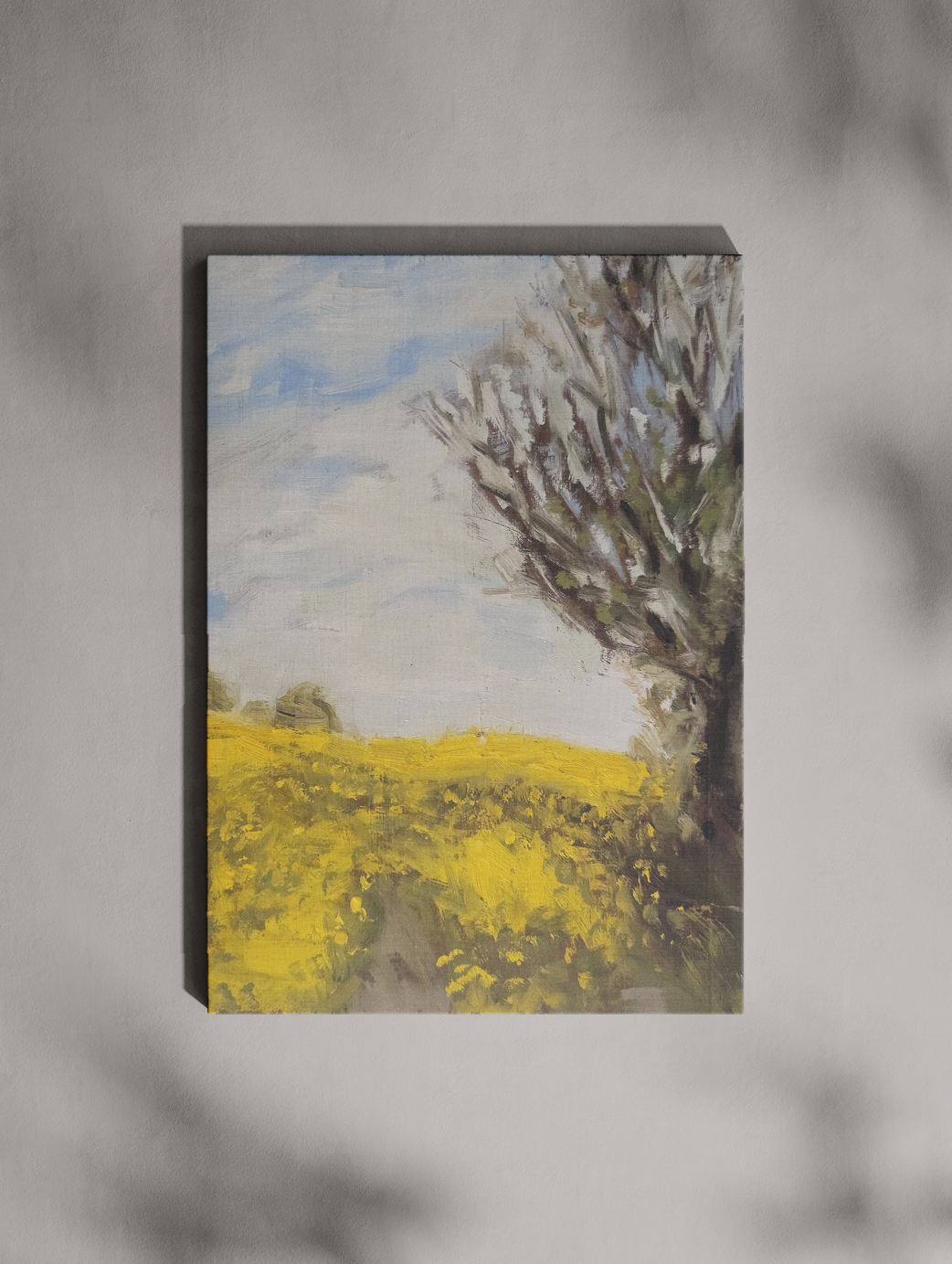 Farmer’s Field In Summertime.